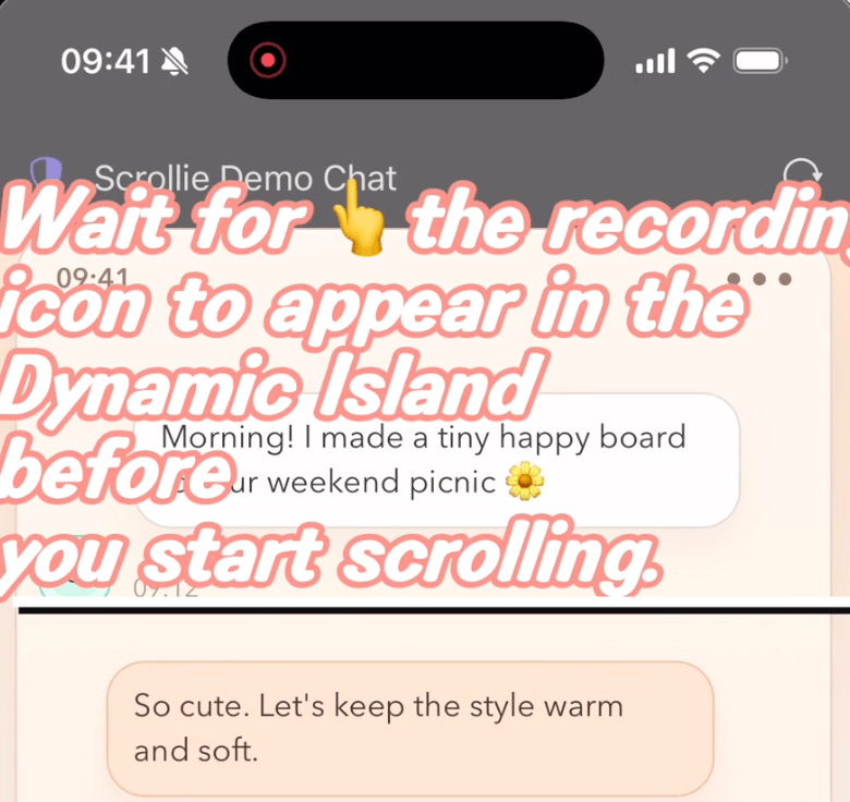 Wait for the recording icon in the Dynamic Island